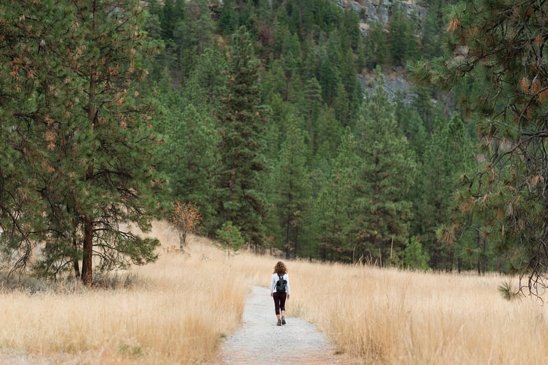 Woman Hiking in Forest